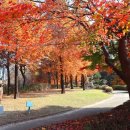 국제자매도시공원 이미지