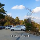 덕평공룡수목원 이미지