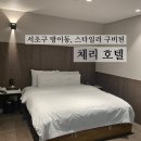 잠실 송파구 방이동 모텔 체리호텔, 숙박 솔직 후기 스타일러 주차