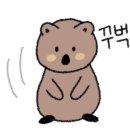 포토시그니처은행 이미지