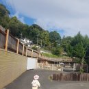 [일본아이랑]후쿠오카 벳푸 라쿠텐치 놀이동산 자유이용권, 입장료, 루지, 주차