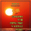 샬롬 Daum카페