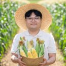 생생농수산 - 18072 | 당도보장 초당옥수수 특품 옥수수 : 대한민국농수산 솔직 후기