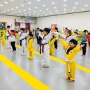 경희대호림태권도장 이미지