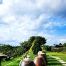 빛 시리즈 이미지