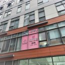 세종돼지 이미지