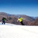 ㈜씨스팡 이미지