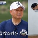 한국돼지유전자(K.P.G) 이미지