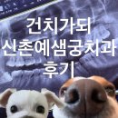 예샘궁치과의원 | 건치가 되~^^ (신촌 기차역 예샘궁 치과에서 스케일링을 받다, 내돈내산, 이대역 신촌역 근처)