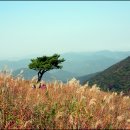 광일목장 이미지