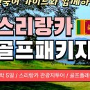 주식회사 빅토리아투어