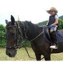 카우보이 이미지