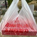 프레드피자 경산점 이미지