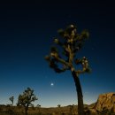 버거팜스 이미지