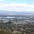 멍멍이발바닥 이미지