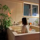 편백나무펜션 이미지