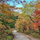 제442회 정기산행 정령치~만복대~노고단~화엄사(8암자) 이미지