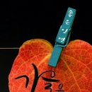 언제나;예쁘다 이미지