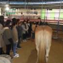 포항승마클럽 네이버블로그