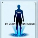 엠에스알운동재활