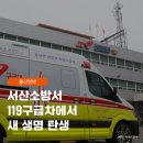 카드119