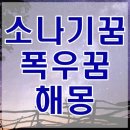 소나기꿈 폭우내리는꿈 해몽 자세히 알아보기 이미지