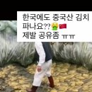 혐) 중국산 김치 먹지마라 이미지