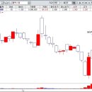 에스와이트레이딩 이미지