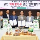 용인시농협쌀조합공동사업법인 이미지