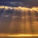 사랑의 창조 이미지