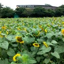 승배농장 이미지