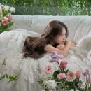 제이스플라워