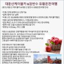 온천카 이미지