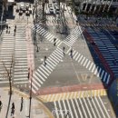 롯데몰 횡단보도 이미지