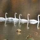 운곡생태습지길 3코스 이미지