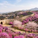 면천헤어