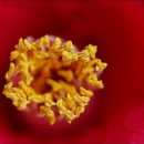 이철민치과의원 이미지