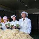 시루영농조합 이미지