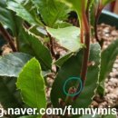 산호수농장 이미지