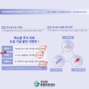 가디언 동물의료센터 이미지