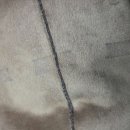 베스트 크린 세탁 이미지