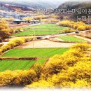 문식농장 이미지