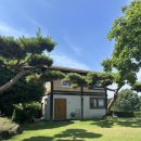 지리산뷰 | 구례 감성 숙소 노고마주 지리산 노고단 뷰 후기 +독채 수영장