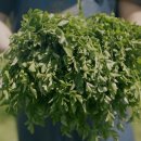 오쿨리한방병원 이미지