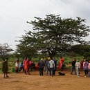 아프리카 7개국 종단 배낭여행 이야기 (7) 케냐(6).....사파리투어 둘쨋날 오후(마사이 마을과 마사이 이야기) 이미지