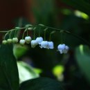 시냇가 펜션 이미지