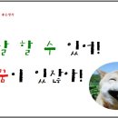 달팽이