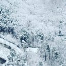 신원로1 이미지