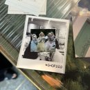 남연 | [2025년 9월 일상] 갈테야 갈테야 요크신 시티에 갈테야.