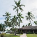 비고리조트 17 이미지